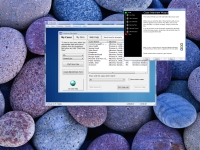 webinar screenshot